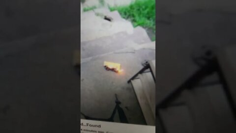 Tyra is burning the seeds I sent him in the mail