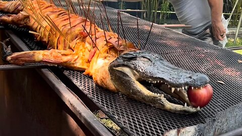 Whole Alligator!!!