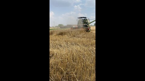 The punjab Farming