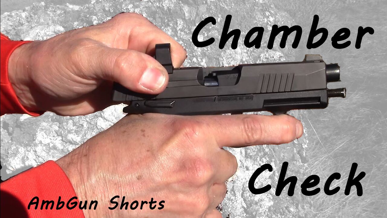 Sig P365XL with MagGuts Chamber Check