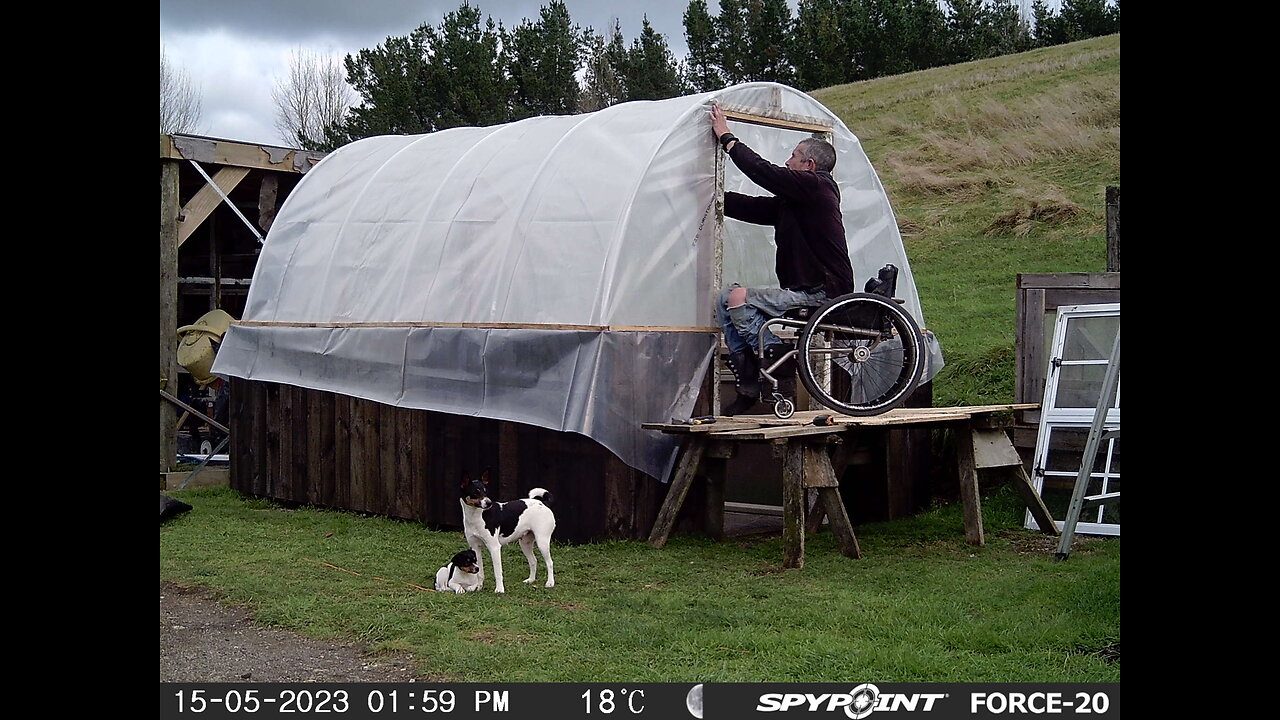 Easy cheap way to build green house, useing PVC hoops and pallets