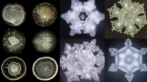 THE SECRETS OF WATER-DOES WATER HOLD MEMORY?