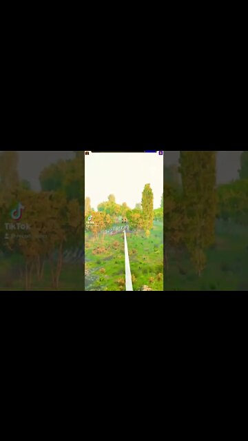 Bannerlord mods from TikTok 7