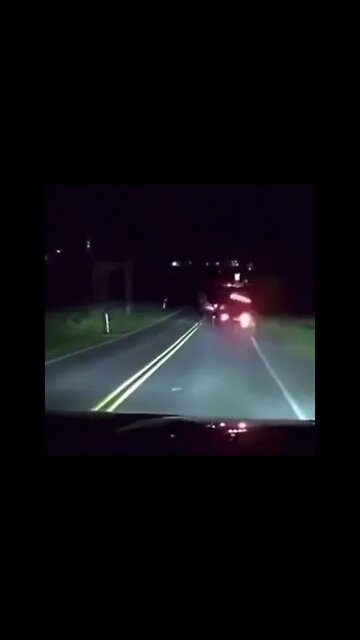 Mustang Drawn Carriage #shorts #dashcams #funny