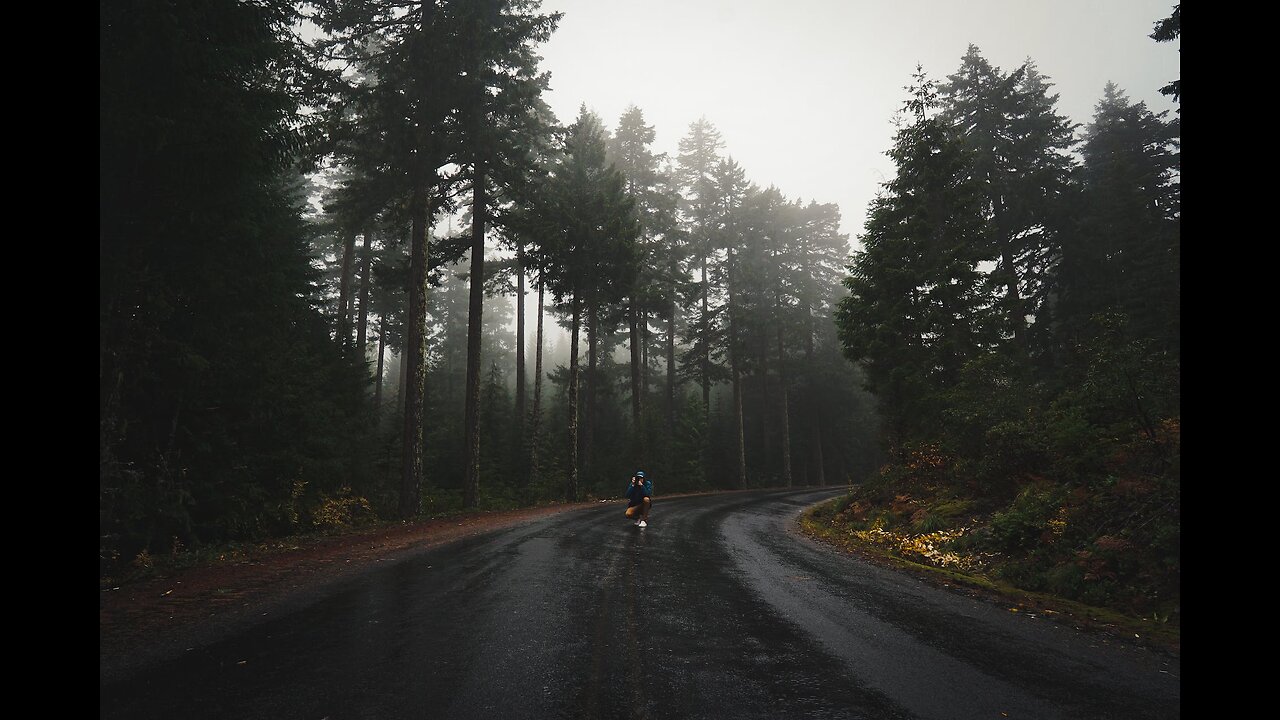 Until the storm ends! Rainstorm & thunder sounds for Sleep | Relaxation