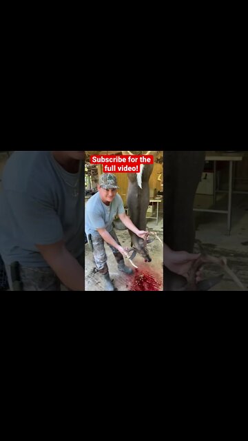 Opening day of Deer season! Georgia