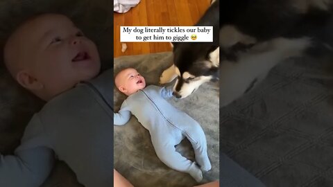 This is too cute ☺️ Dogs are really best.