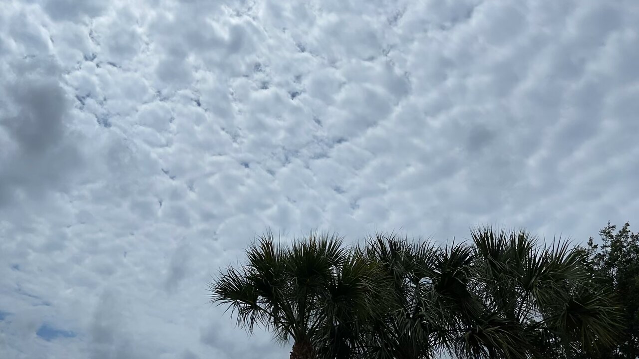 Florida Cloudy Sky Timelapse #swfl #thunderheads