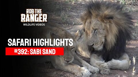 Safari Highlights #392: 04 - 06 March 2016 | Sabi Sand Wildtuin | Latest Wildlife Sightings