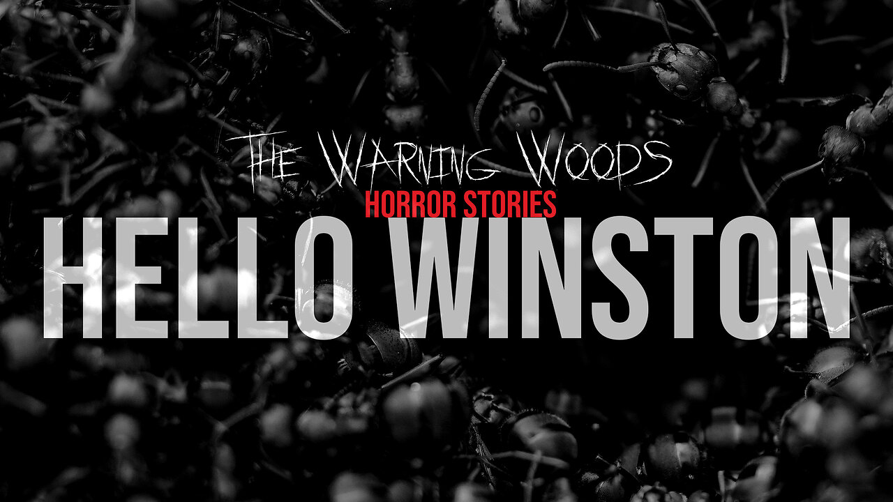 HELLO WINSTON | Creepy Fiction | The Warning Woods Horror and Scary Stories