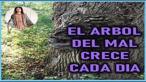 MENSAJE DE MARIA SANTISIMA A PEDRO REGIS - EL ARBOL DEL MAL CRECE CADA DIA