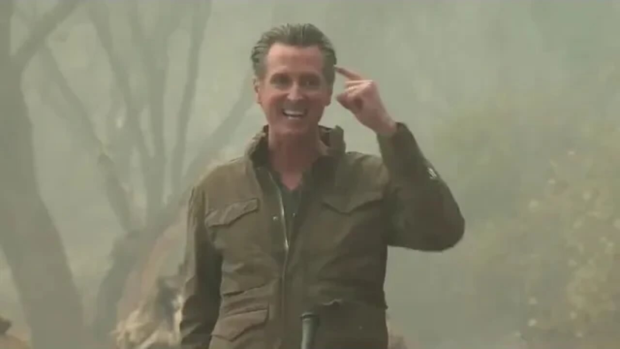 LAST WEEK IN CULTURE #11