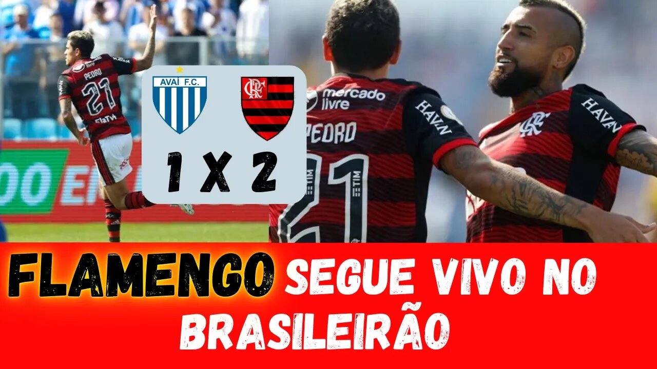 Flamengo vence mais uma no Brasileiro/ Avai 1 x 2 Flamengo