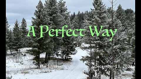 A Perfect Way - Breakfast with the Silvers & Smith Wigglesworth Dec 13