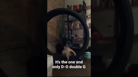 MEME is the one and only D-O double G #shorts