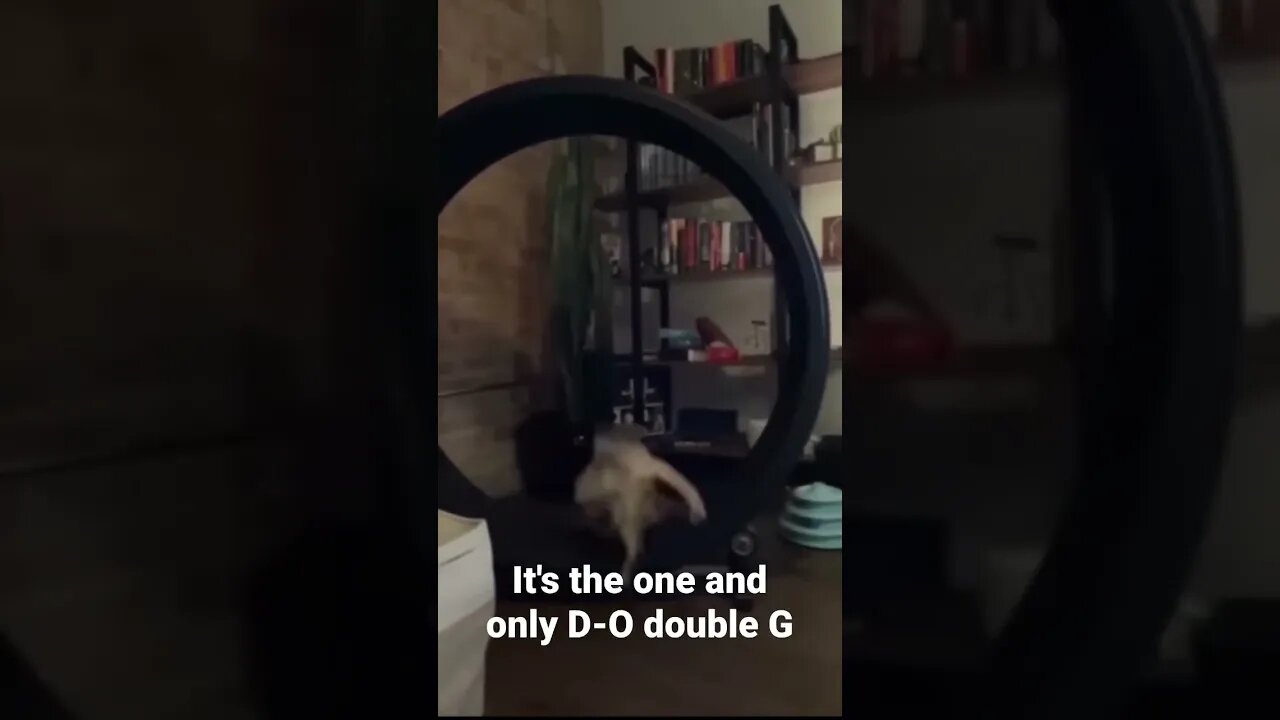 MEME is the one and only D-O double G #shorts