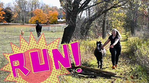 We Had To ESCAPE From Our Horses!