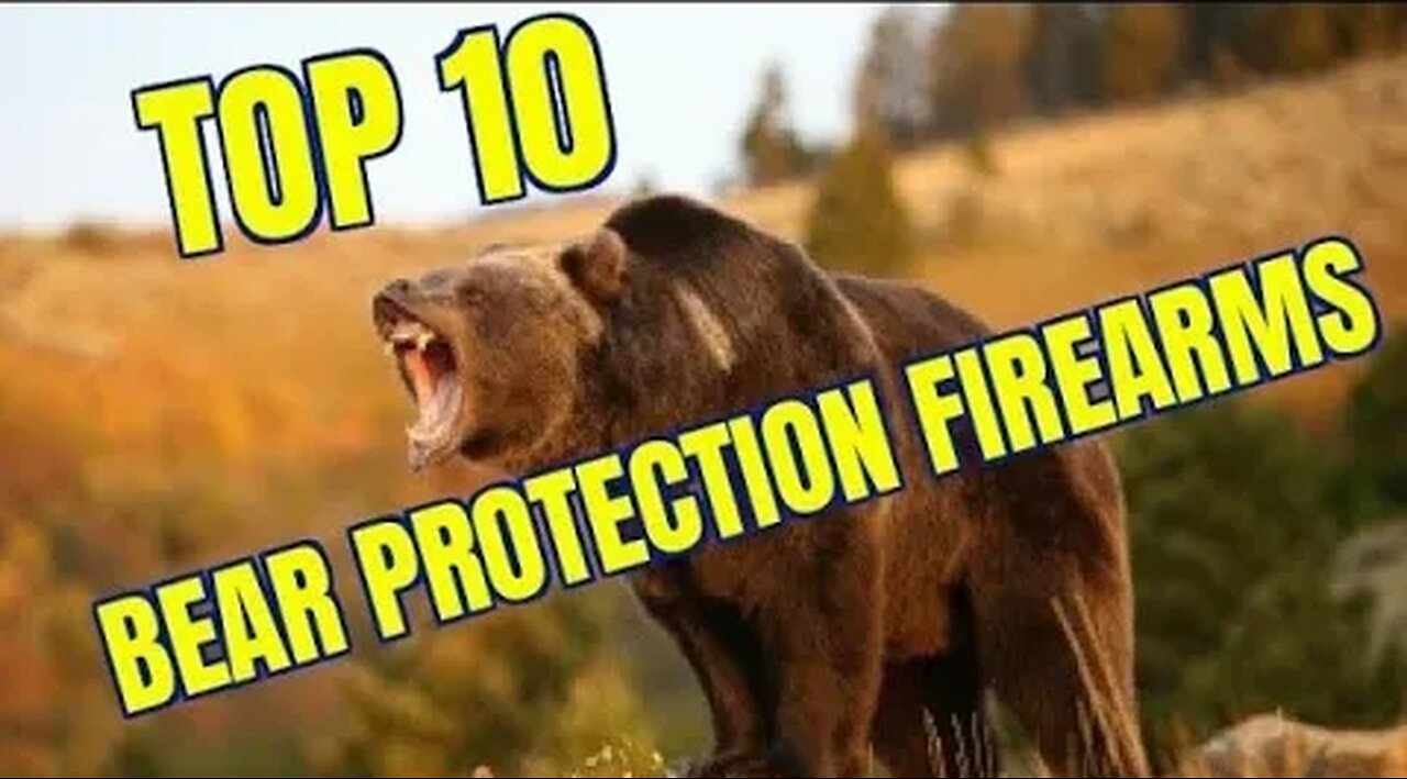 TOP TEN BEST BEAR DEFENSE FIREARMS