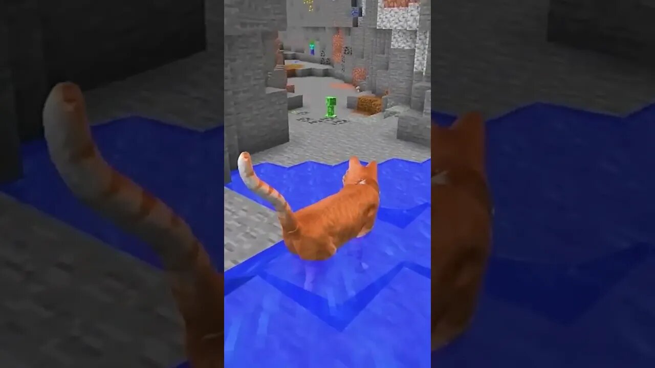 MINECRAFT: ATHOS VIROU UM GATO PRA ASSUSTAR OS MINA #shorts