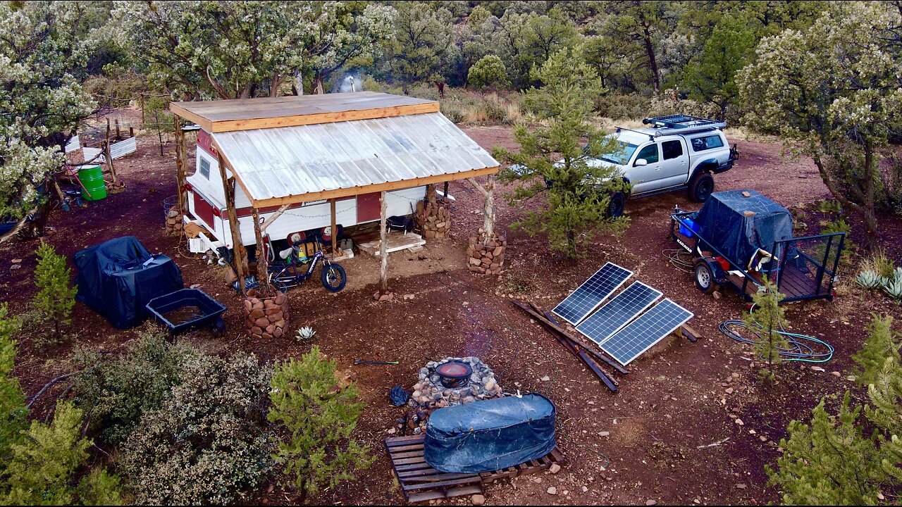 The Plan to CUT DOWN 50% OF MY TREES & Laying The Groundwork To Build A FS Lookout Tower Tiny Home