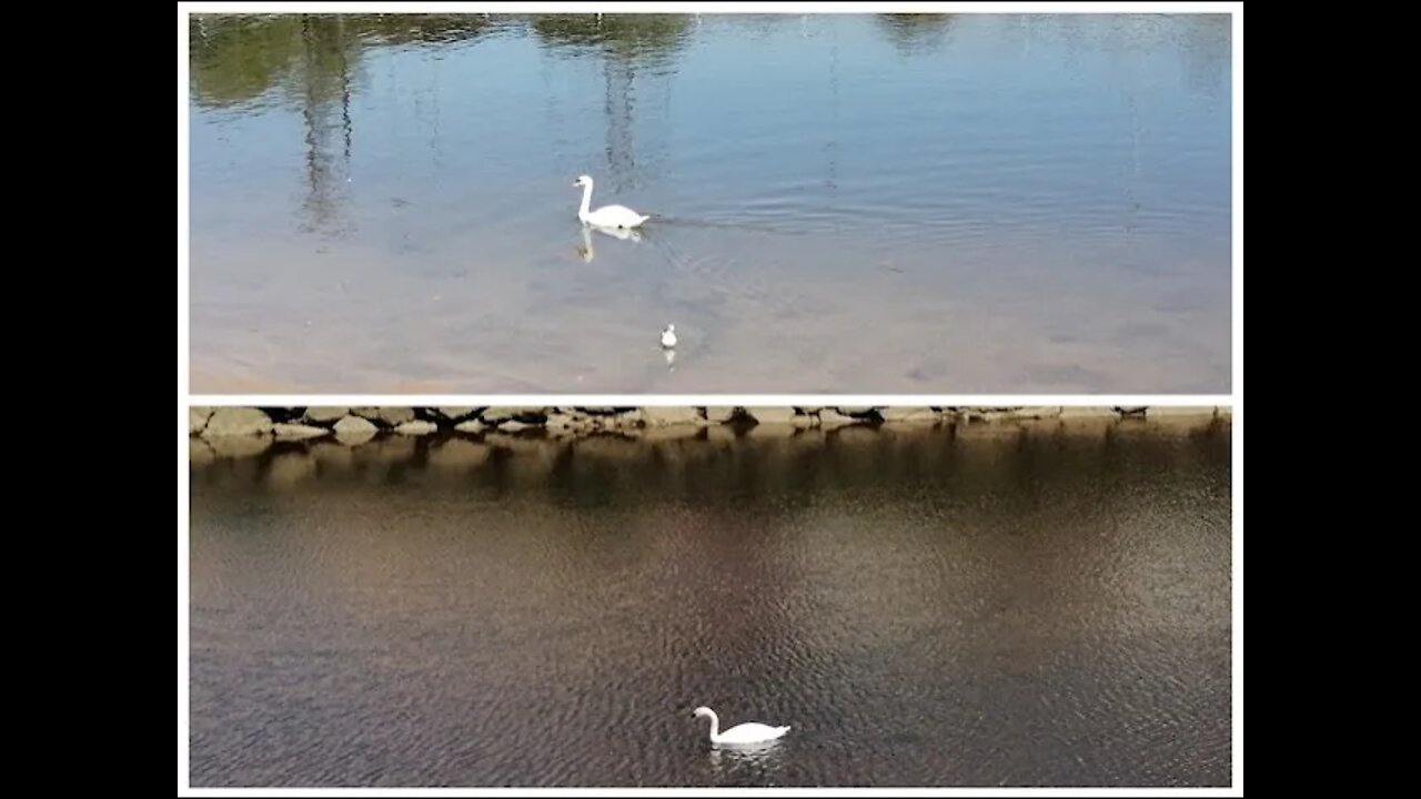 SEÑALES PROFÉTICAS PARA UNA NUEVA ANDADURA