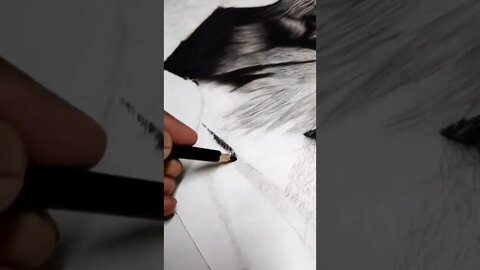 Watch 120+hrs in few seconds !! (hyperrealism tiger)