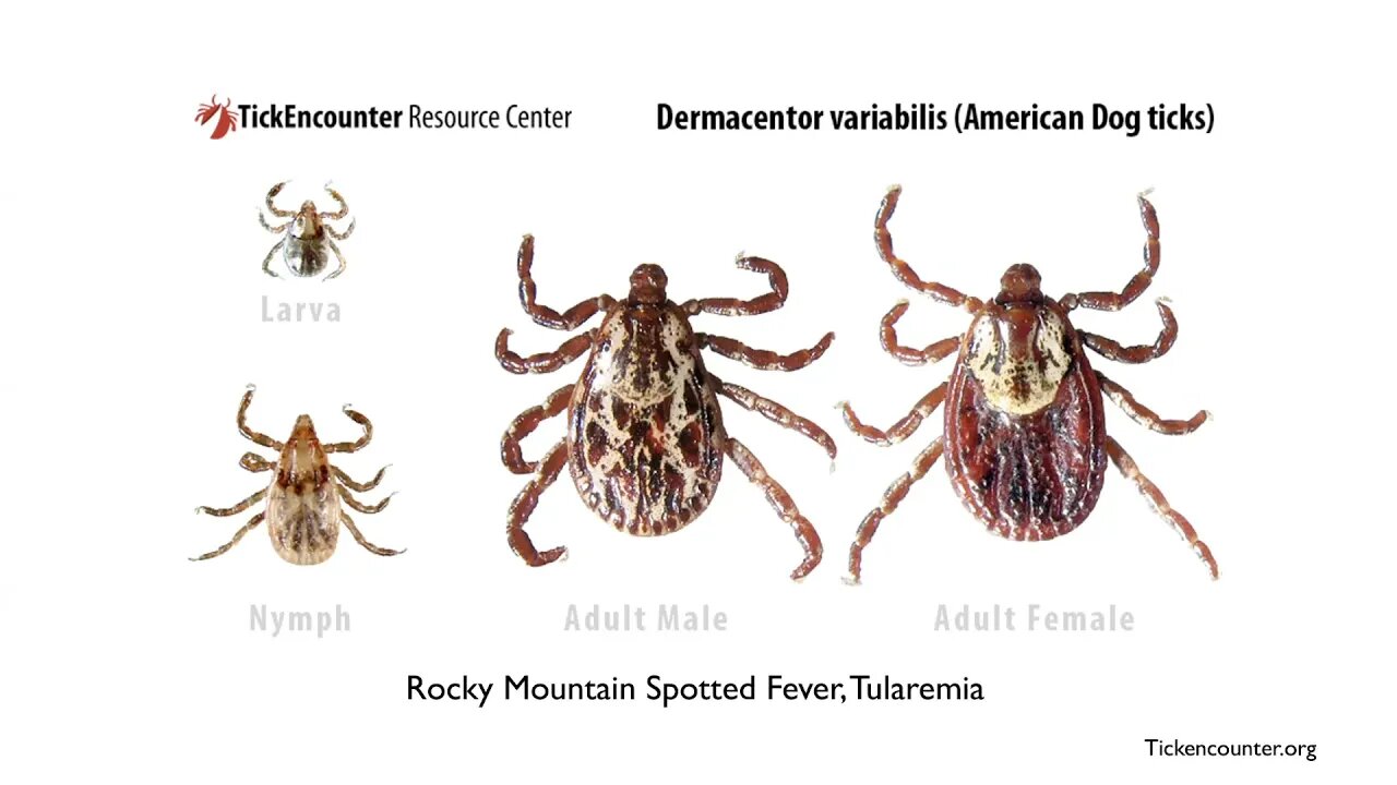 Lyme Disease - A Modern Epidemic 4thAnnFxMedSymposium