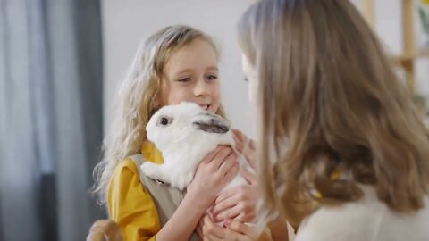 Handheld shot of unrecognizable mother petting cute bunny held by her daughter