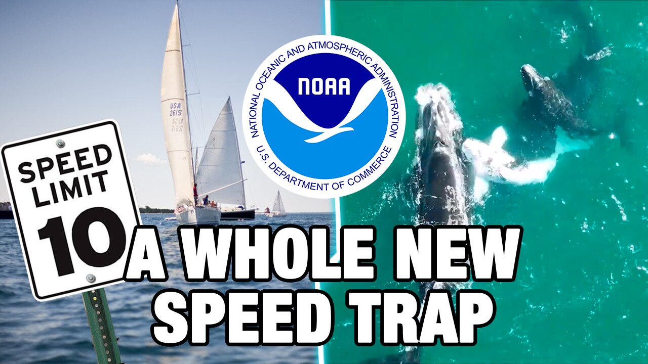 Biden Admin Preps 10-Knot Speed Limit For Boats Along the East Coast