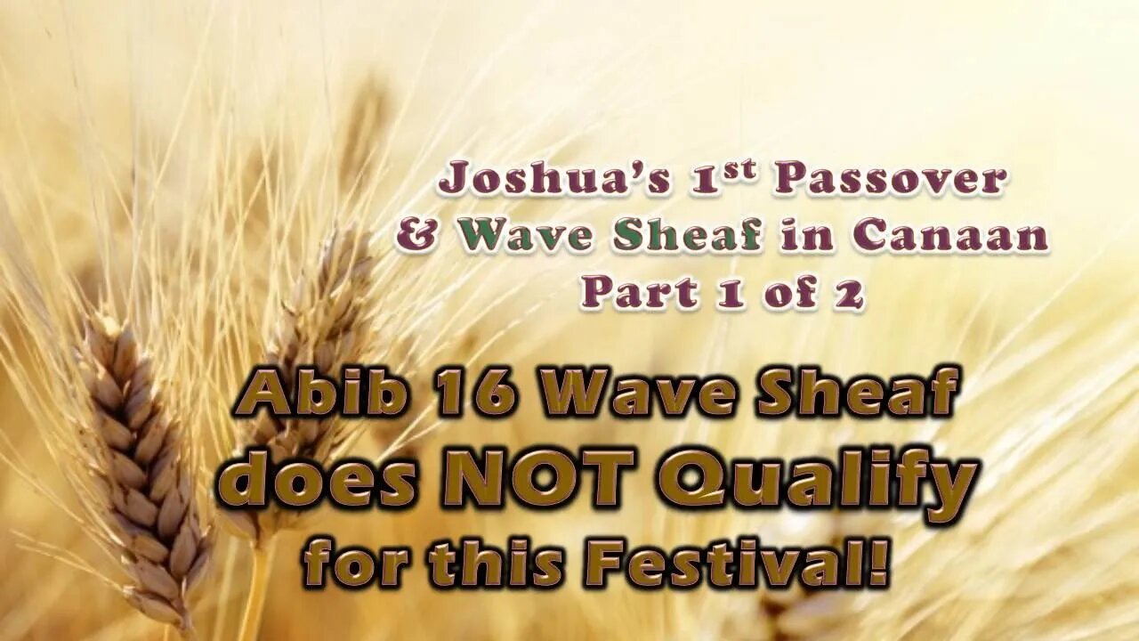 2.16 Joshua & Wave Sheaf Pt 1