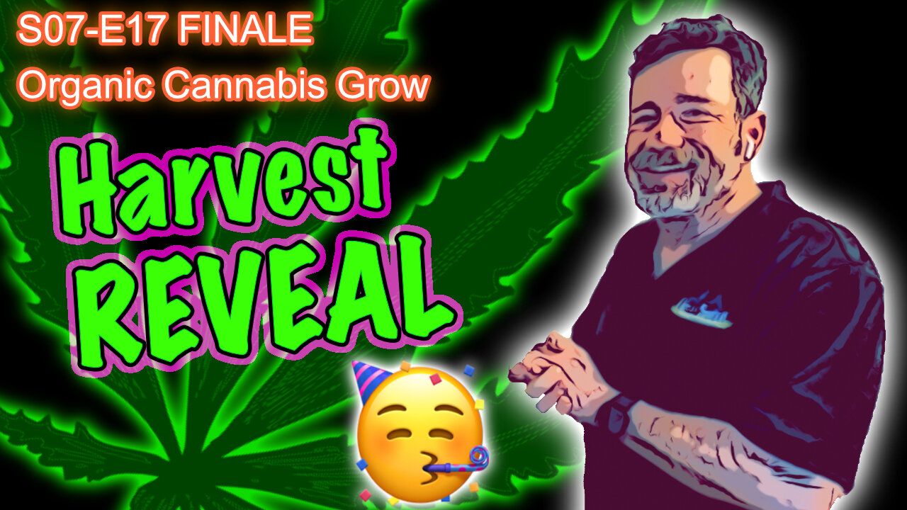 S07 E17 FINALE - Cannabis Harvest Yield - Rocket Seeds ROCK - C'MON!!!!!