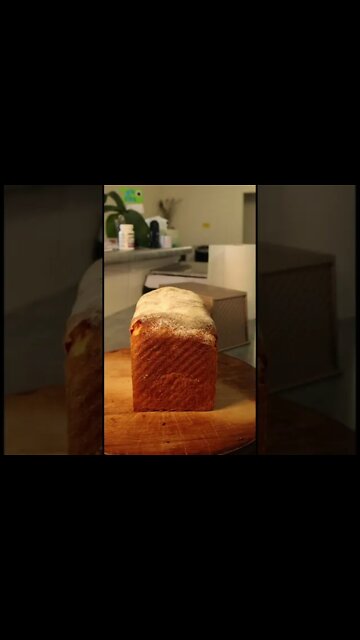 #shorts sourdough Sandwich loaf