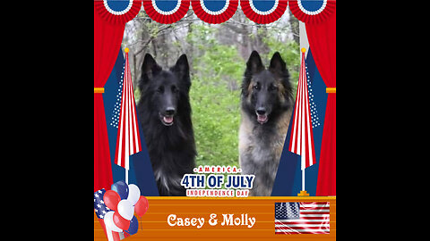 Woofs & Wags: Graphics for Furry Friends - Independence Day 2023