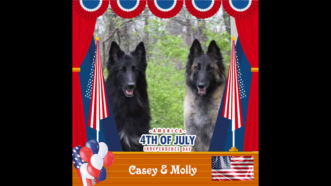 Woofs & Wags: Graphics for Furry Friends - Independence Day 2023