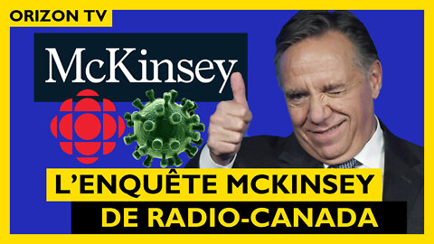 Le Gouvernement MCKINSEY / LEGAULT