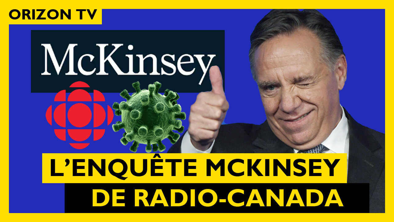 Le Gouvernement MCKINSEY / LEGAULT