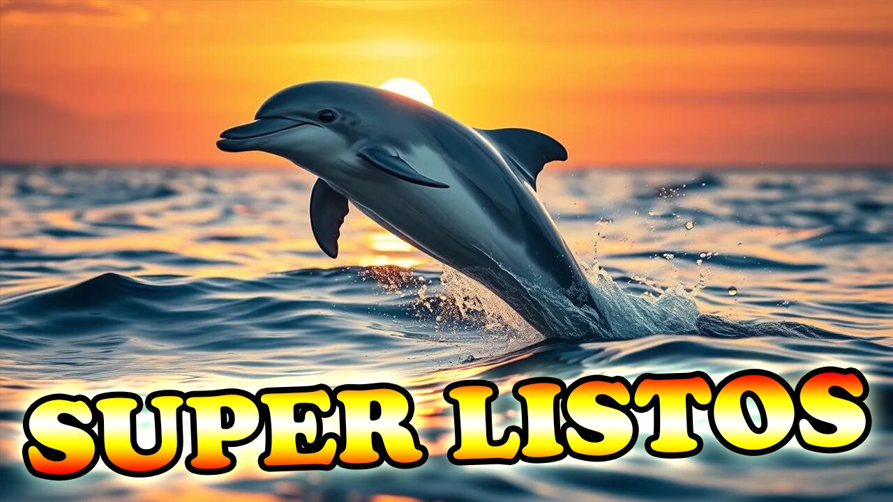 🐬​10 curiosidades que NO sabias sobre los INTELIGENTES Delfines