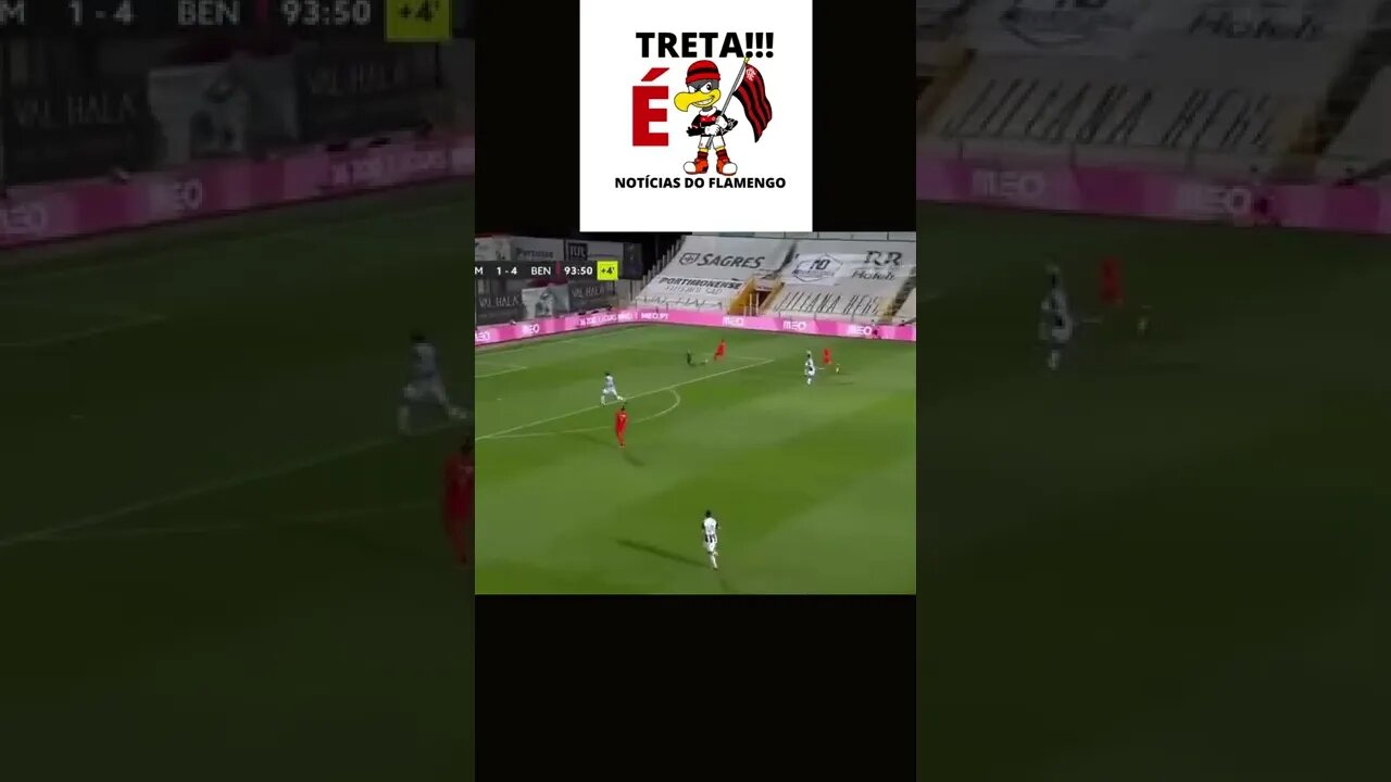 HOJE TEM ESTREIA NO MENGÃO! GOLS DE EVERTON CEBOLINHA NO BENFICA #Shorts