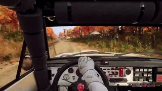 DiRT Rally 2 - Reckless at Beaver Creek Trail