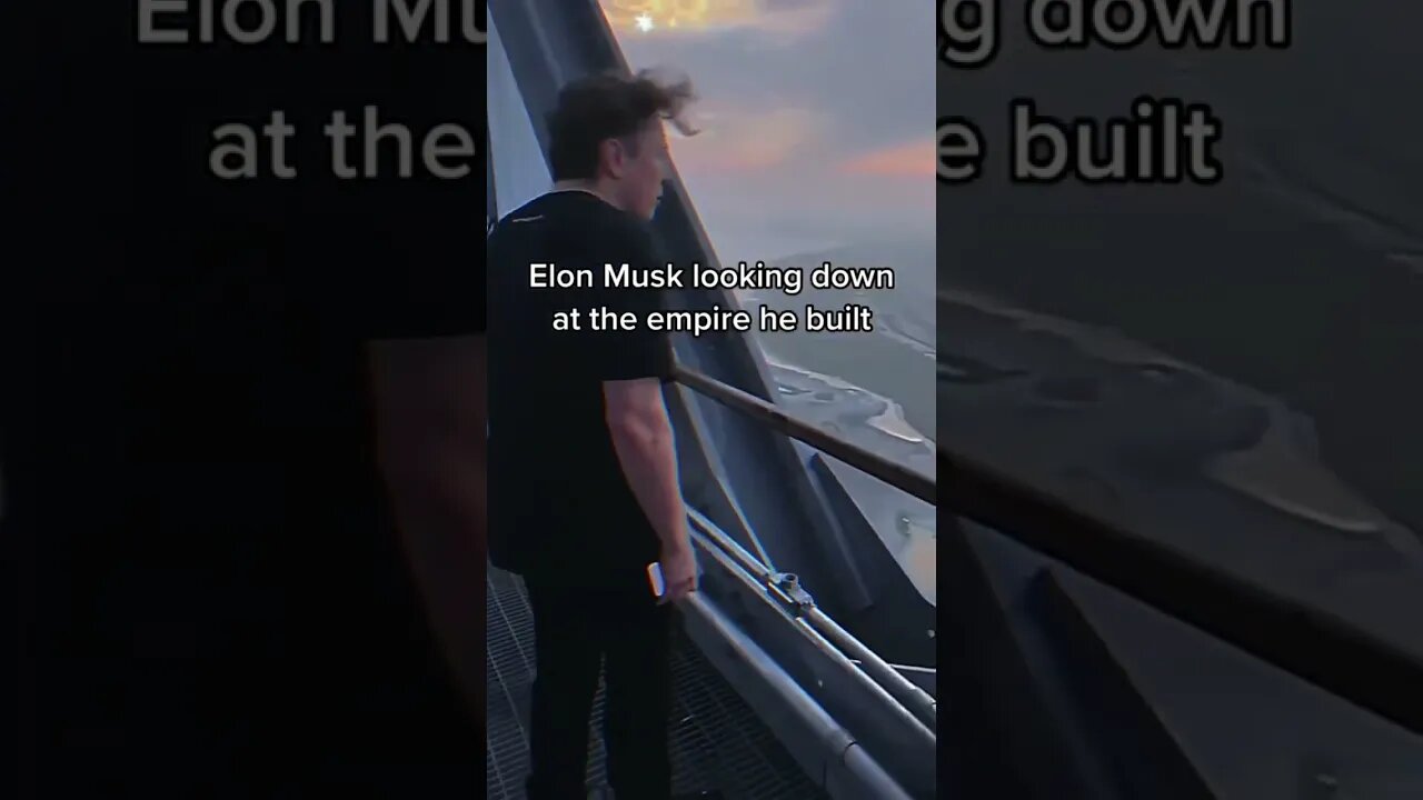 Elon Musk admiring his accomplishment