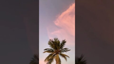 #short #subscribe #oman #nature