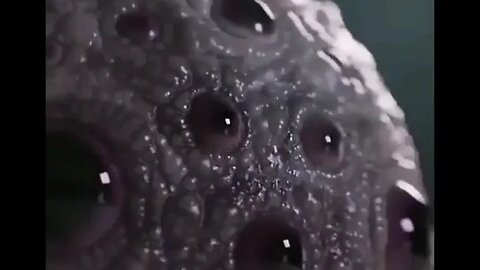 ۱۵ اوت ۲۰۲۲