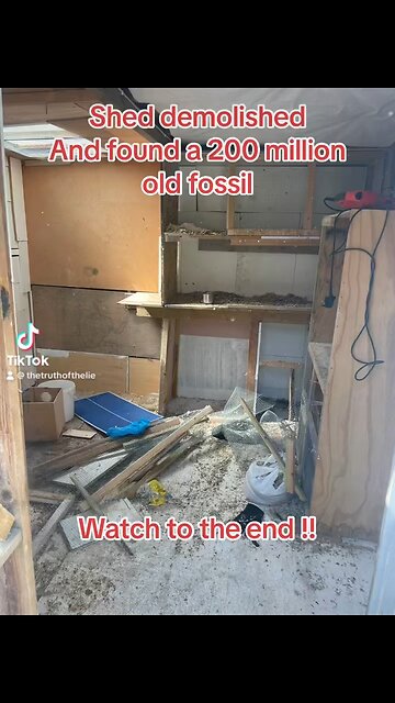 200 million old fossils