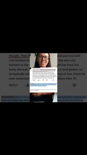 Ready to switch your cat to better food? #shorts