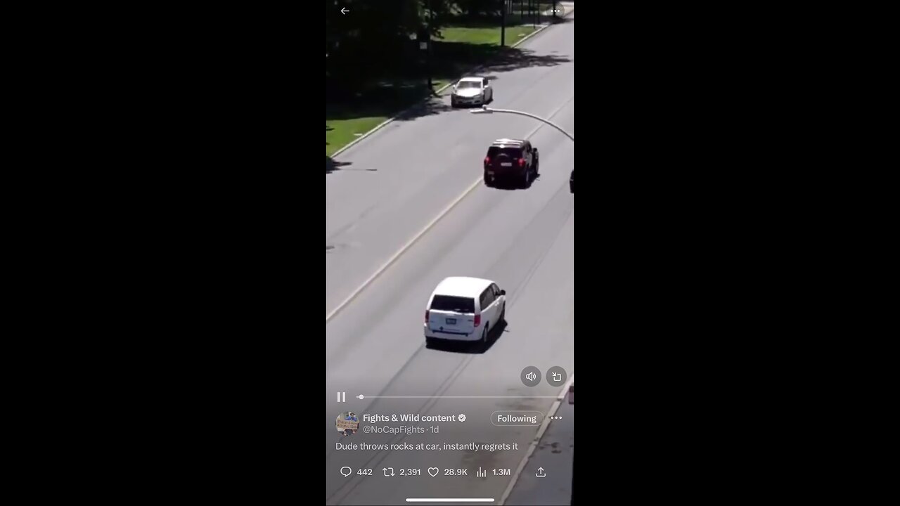 Guy throws rock at car & gets ran over