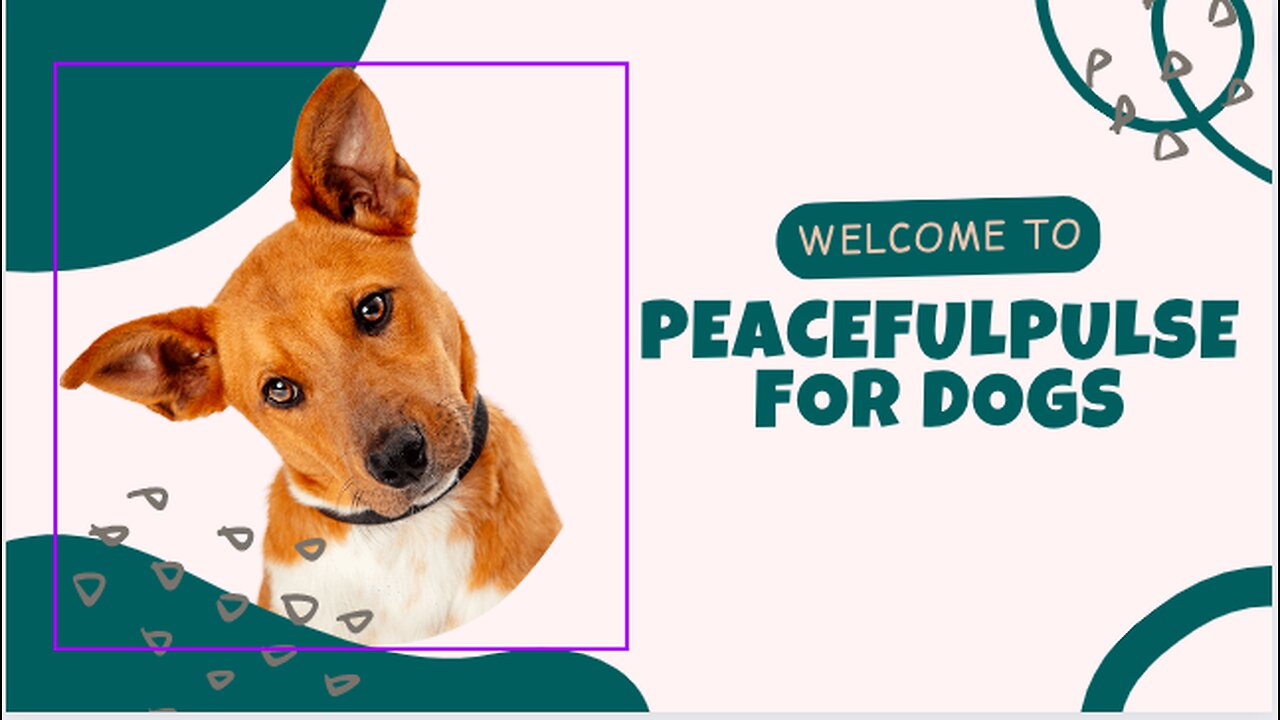 Peaceful Pulse music for dogs, Episode 114