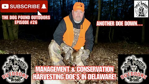 CVA SCOUT .450 BUSHMASTER VS DOE! DELAWARE 2024 FIREARMS SEASON!