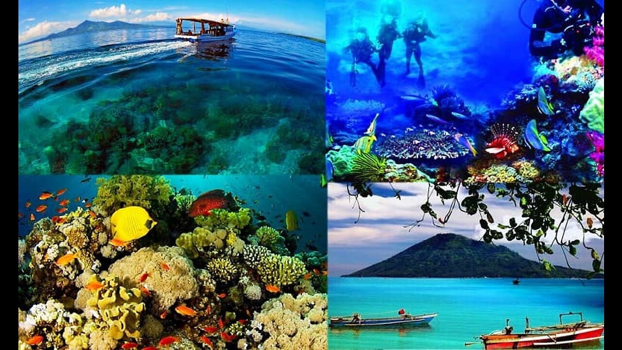 EXPLORING THE BREATHTAKING UNDERWATER PARADISE OF BUNAKEN