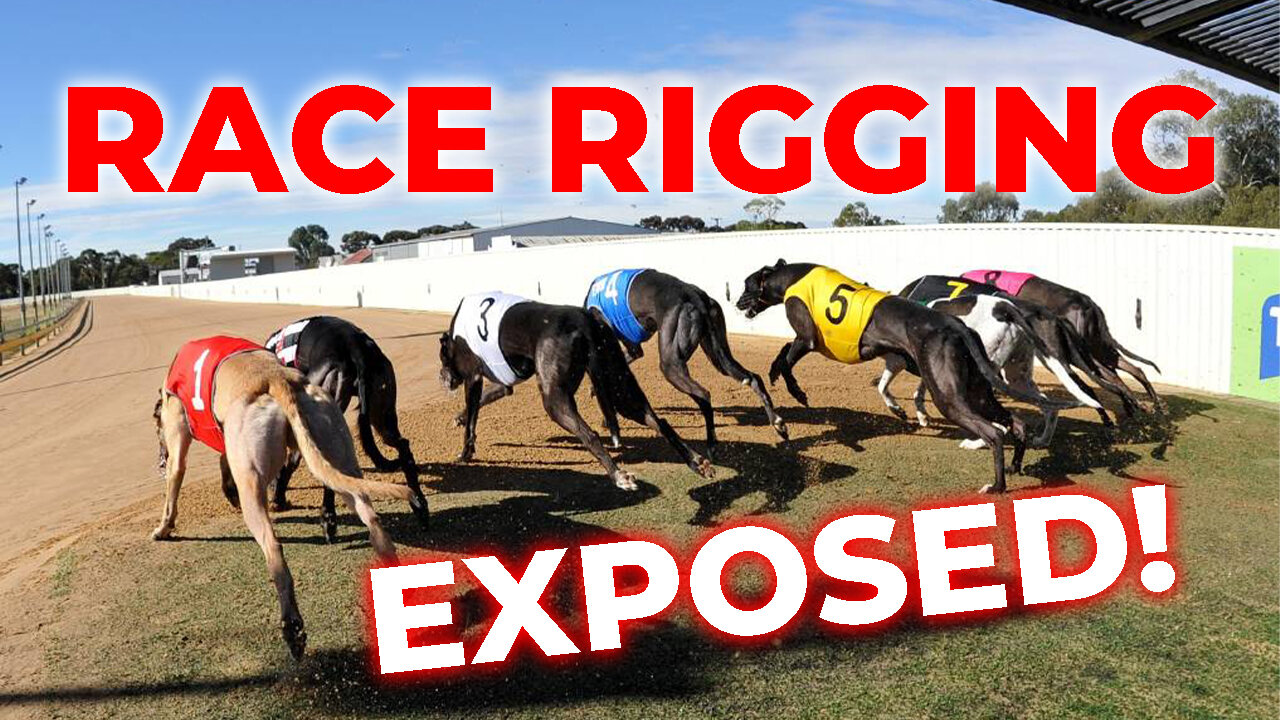 Ipswich Greyhound Race Rigging