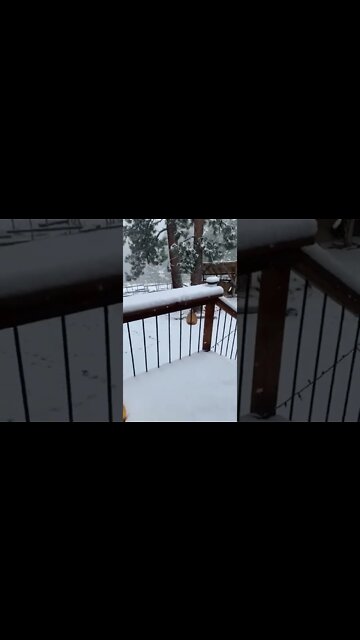 April 10, 2022? Or December? Welcome to Idaho California 😂